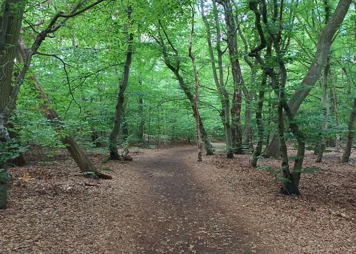 Apartment Klonowa 7 *